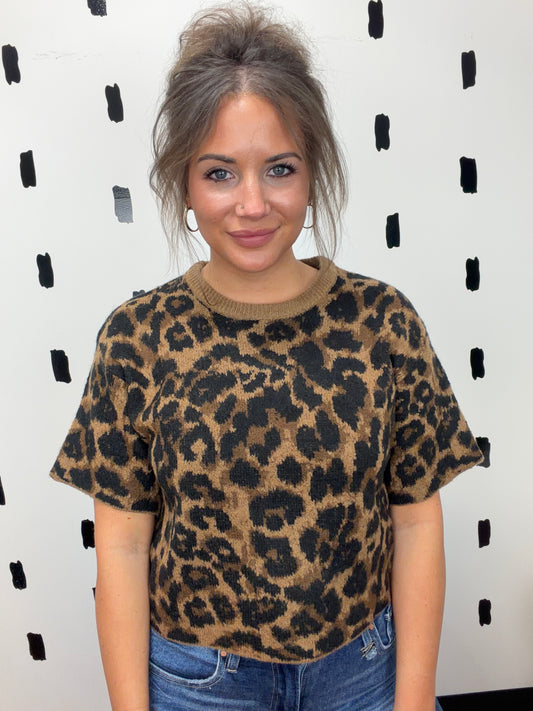 Brown Short Sleeve Leopard Print Sweater
