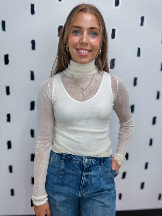 Sheer Turtleneck Knit Top